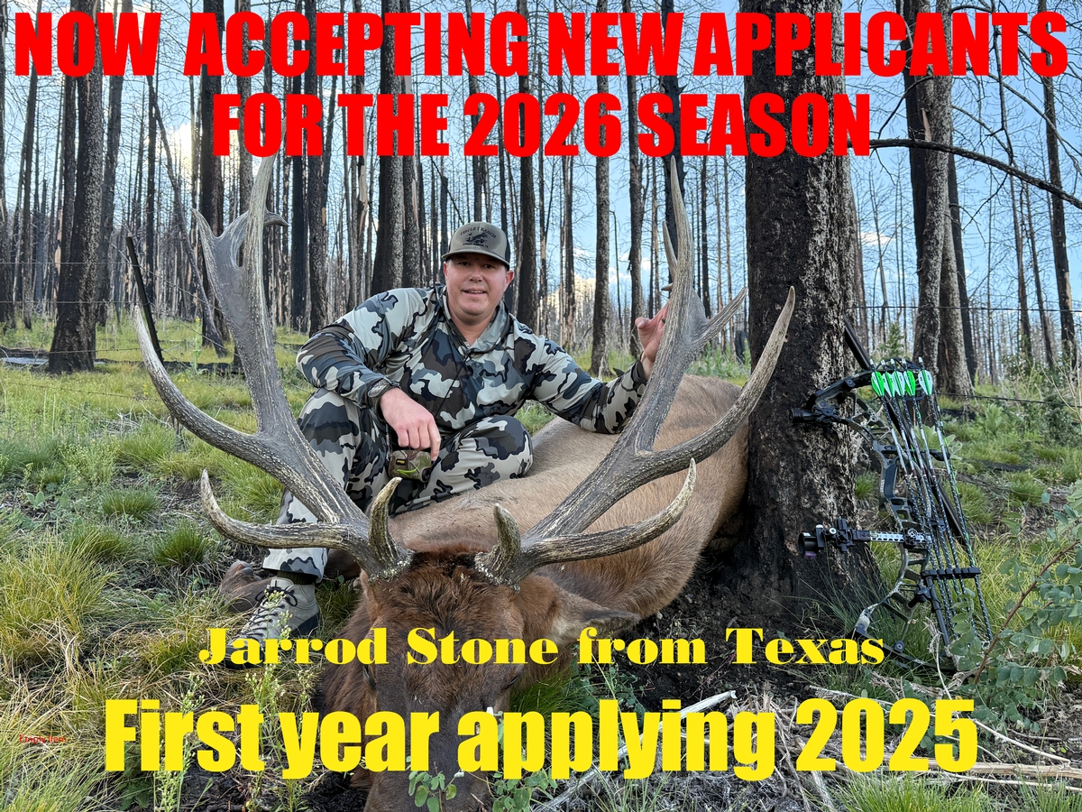 NEW MEXICO'S DRAW HUNT SYSTEM